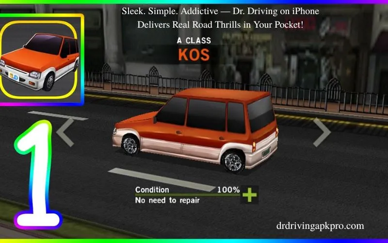 Dr Driving for iPhone Overview